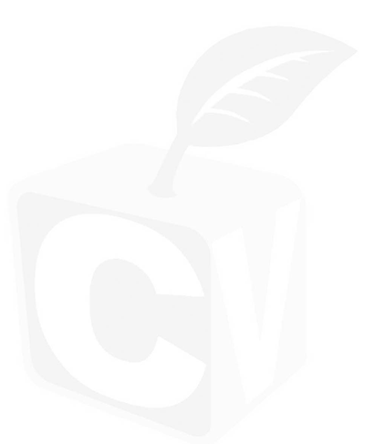 Cv Rent Icon